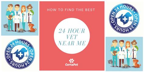 24 hour vet|24 hour vet near me.